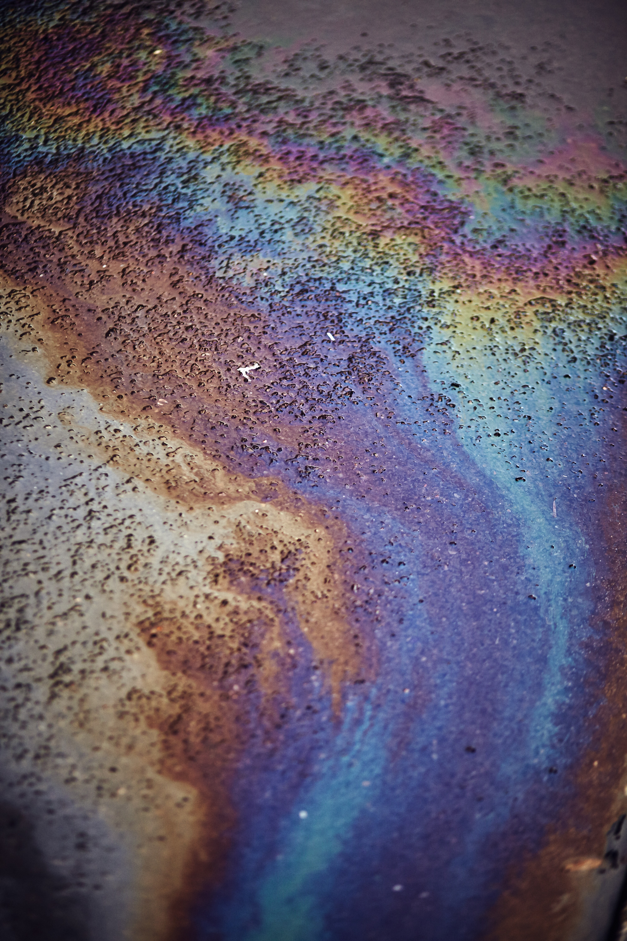 hellblau-schwarz-spring-outfit-9