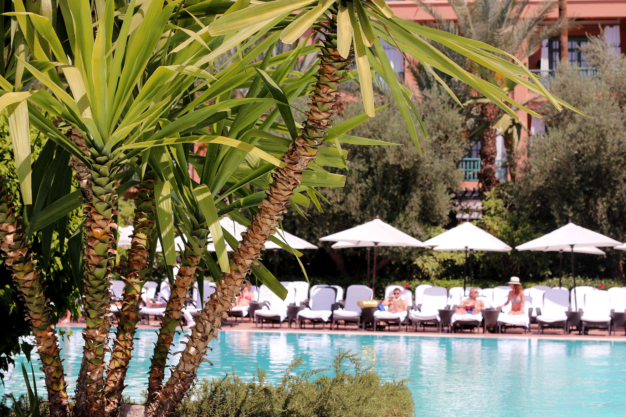 Marrakech-Hotel-La-Mamounia9