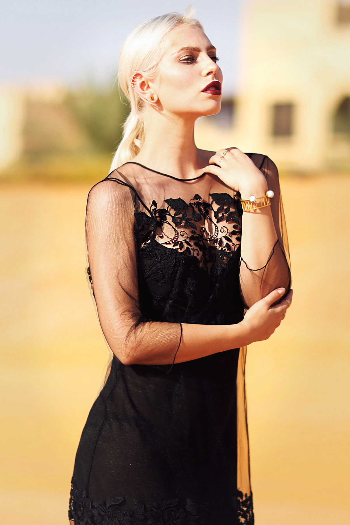 view more details on my blog | wearing Pinko | Dubai desert | 2015 