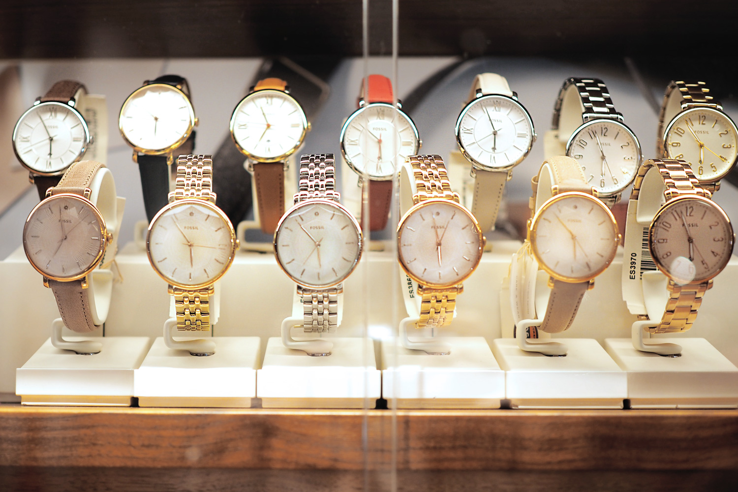 View more details on my blog | Fossil Meet & Greet with Masha Sedgwick, Vreni Frost and Kosta Williams