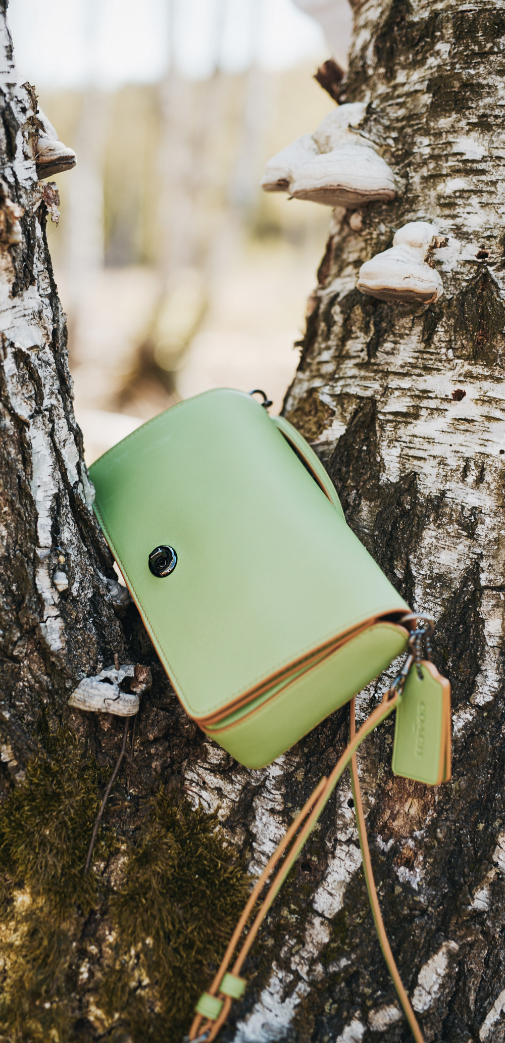 outfit in the forest | view more pictures on my blog | casual denim | white keds sneakers | denim vest from Levi's and Mom jeans from Closed | Coach dinky bag in green