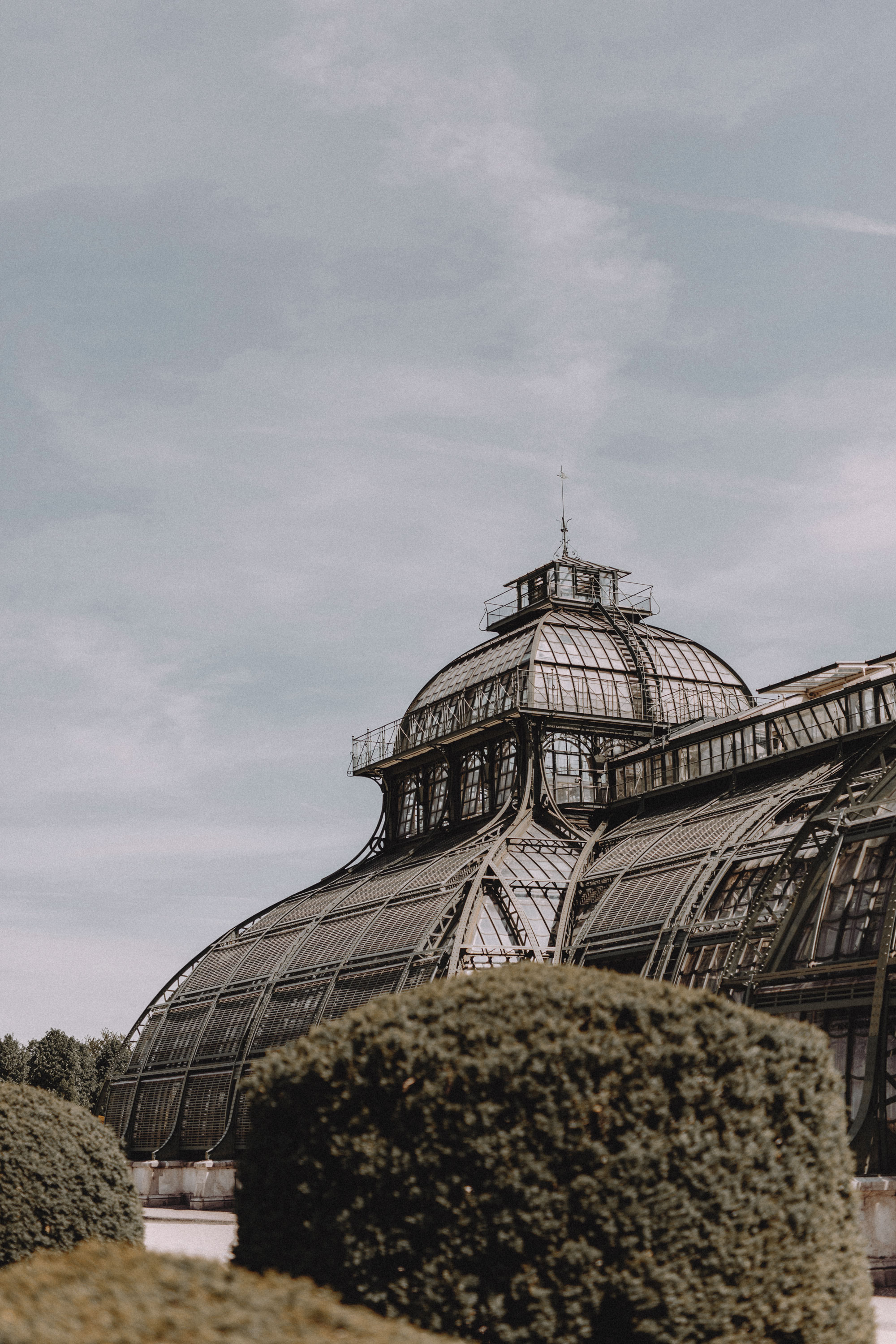 Greenery | Happy | Botanical Garden | Fashion | Style | Blogger | Masha Sedgwick | floral | summer | spring | dress | outfit | look | inspiration | editorial photography | Vienna | Austria | Palm house | dress