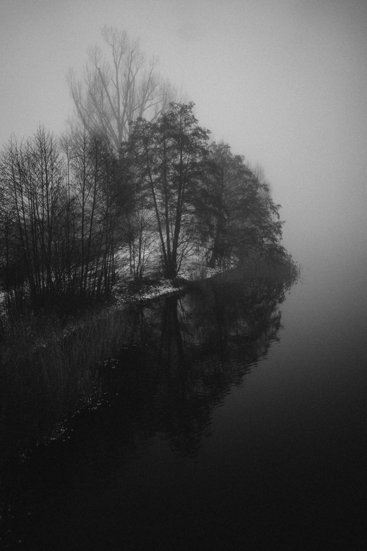 Moody Nature Photograpy | Berlin, Brandenburg | Winter